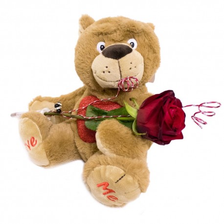 Teddy with a Red Rose